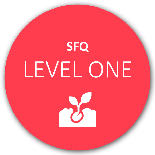 SFQ Level One Qi Activation