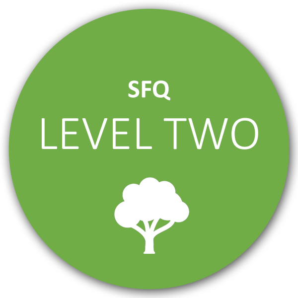 SFQ Level Two Qigong for Healers