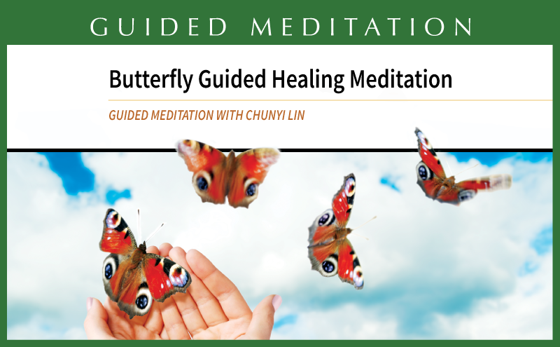 Butterfly Qigong Healing Meditation