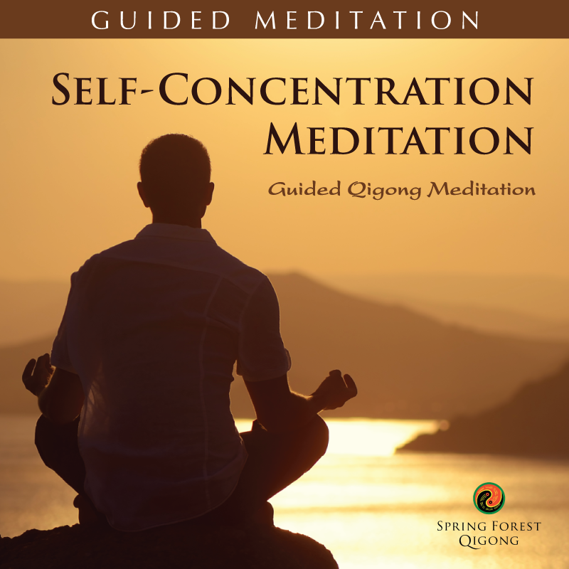 Qigong Meditation Self Concentration