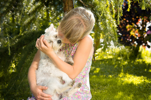 A Pet a Day Keeps the Doctor Away: Life Lessons from Our Pets