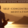 Self-Concentration Guided Meditation with Master Chunyi Lin