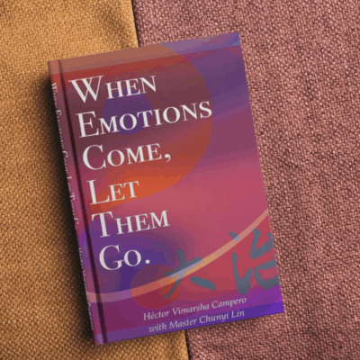 When Emotions Come, Let Them Go. - Softcover